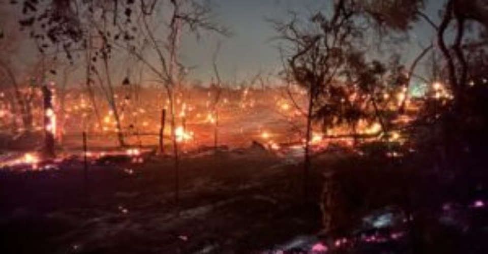 Wildland Fire